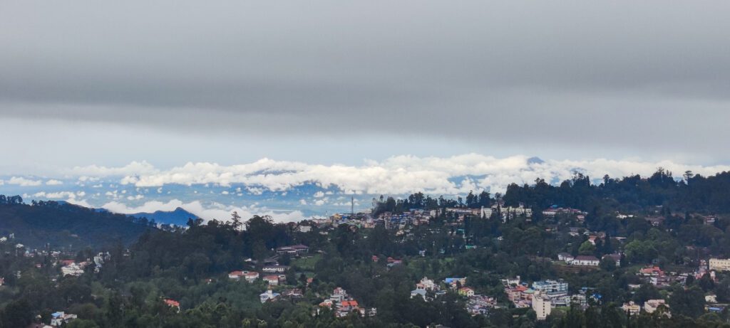 Kodaikanal Cottages in Forest